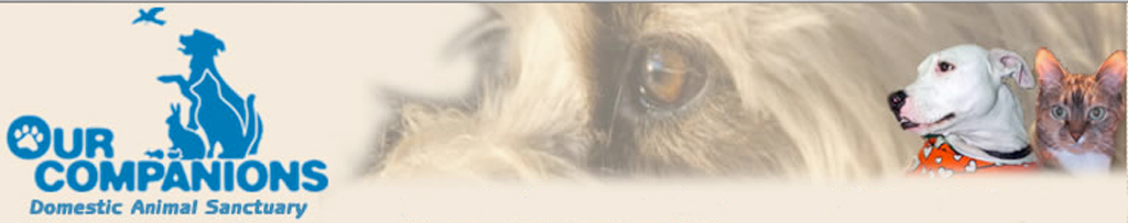 Our Companions Domestic Animal Sanctuary